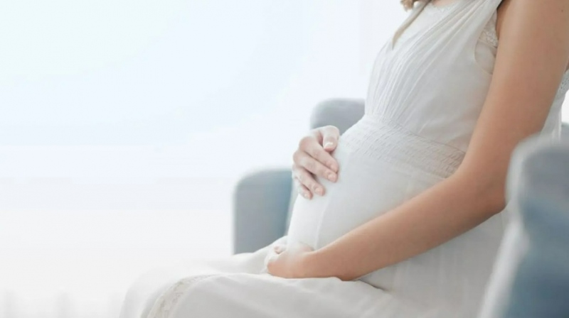 BEAUTY CLIP by Norganic