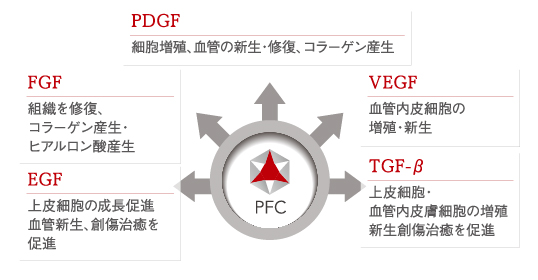 主に含まれる成長因子